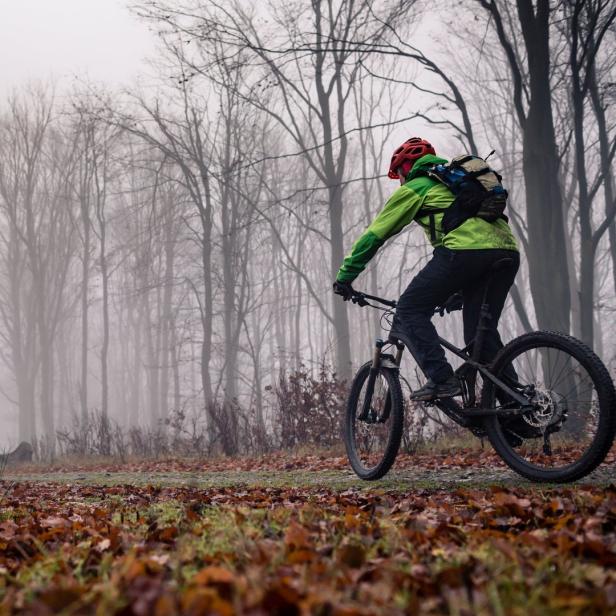 Ein Radfahrer fährt auf einem Waldweg mit Laub und Nebel.
