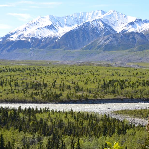 Alaska wird immer öfter auch von Kreuzfahrtschiffen angelaufen