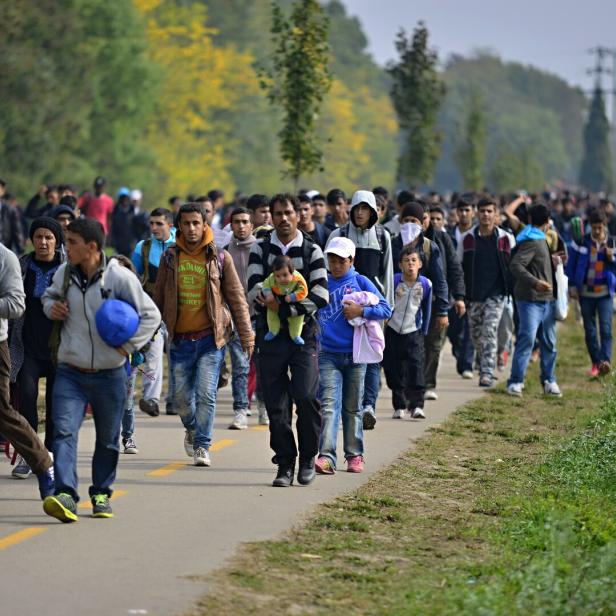 Vedran Džihić: "Migration muss geregelt, nicht panisch bekämpft werden"