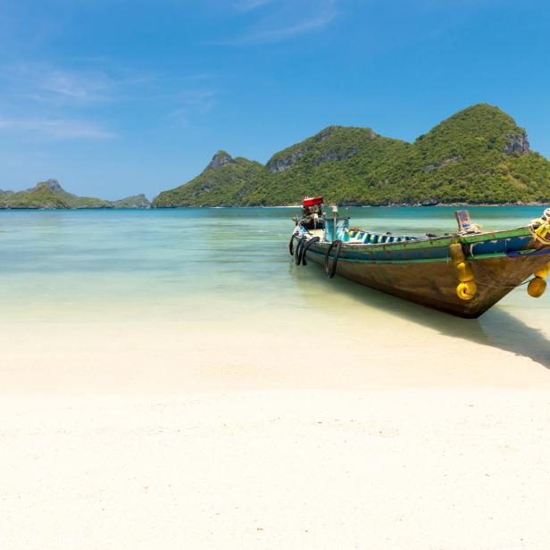 Den Steinbock zieht es nach Thailand.