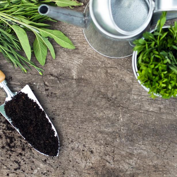 Eine Gartenschaufel mit Erde, Kräuter und eine Gießkanne auf einem Holztisch.