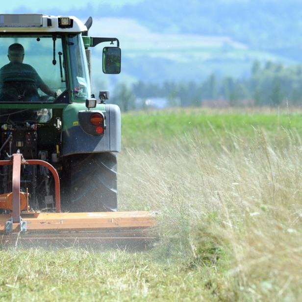 Ein Traktor mäht ein Feld mit hohem Gras.