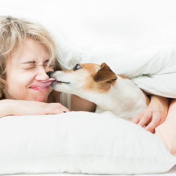 Ein Hund leckt das Gesicht einer Frau, die im Bett liegt.