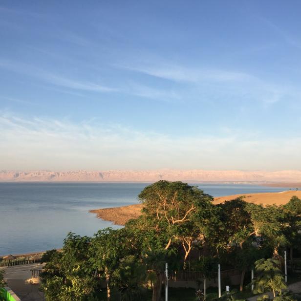 Blick auf das Tote Meer mit Bergen im Hintergrund und Vegetation im Vordergrund.