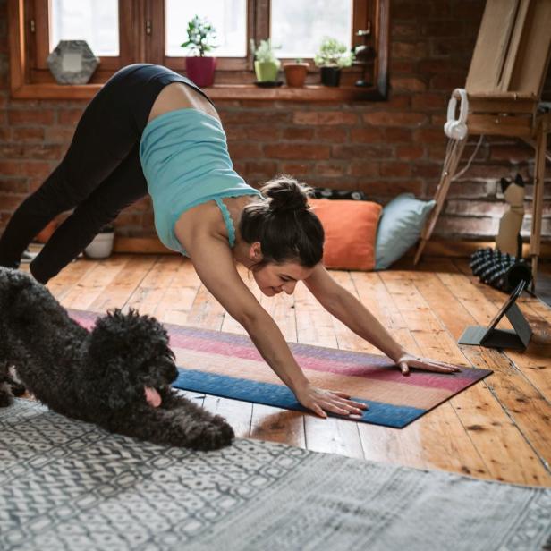 Eine Frau macht Yoga in einem Wohnzimmer, während ein Pudel sich auf einer Matte streckt.