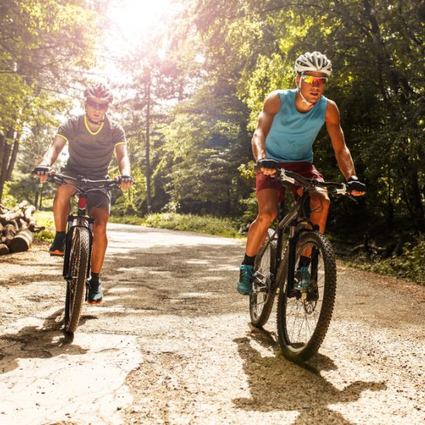 Zwei Männer fahren mit Mountainbikes auf einer Waldstraße.