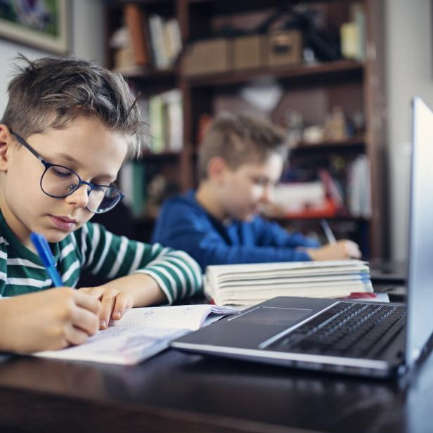Little boys attending to online school class.