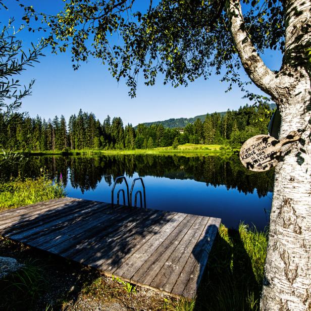 Ein Steg führt zu einem ruhigen See, an dessen Ufer ein Baum mit Rettungsring steht.