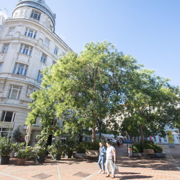 Der Wallensteinplatz lockt mit Kultur und Kulinarik. Die vorbeiführende Wallensteinstraße wird umgestaltet