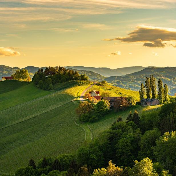 Weinberge in der Steiermark.
