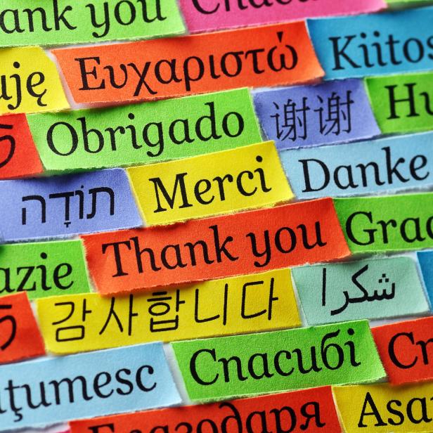 Verschiedene Zettel zeigen das Wort „Danke“ in zahlreichen Sprachen.