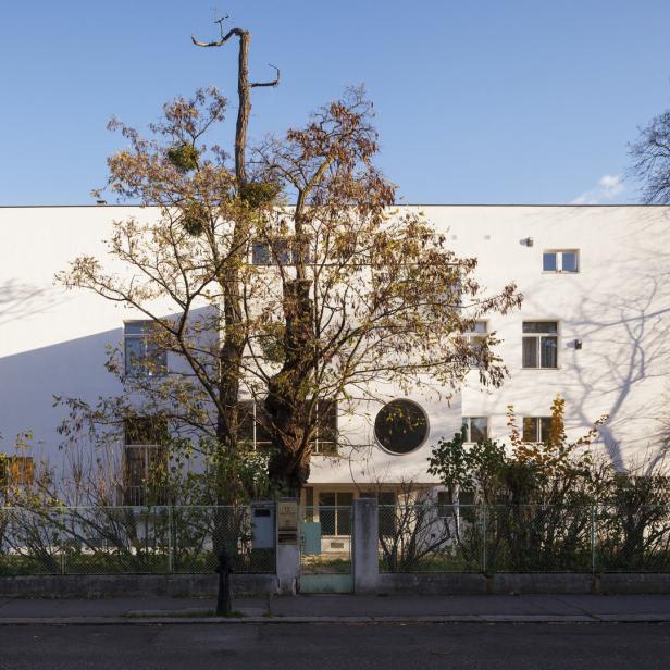 Ein weißes, modernes Gebäude mit einem markanten runden Fenster und einem Baum davor.