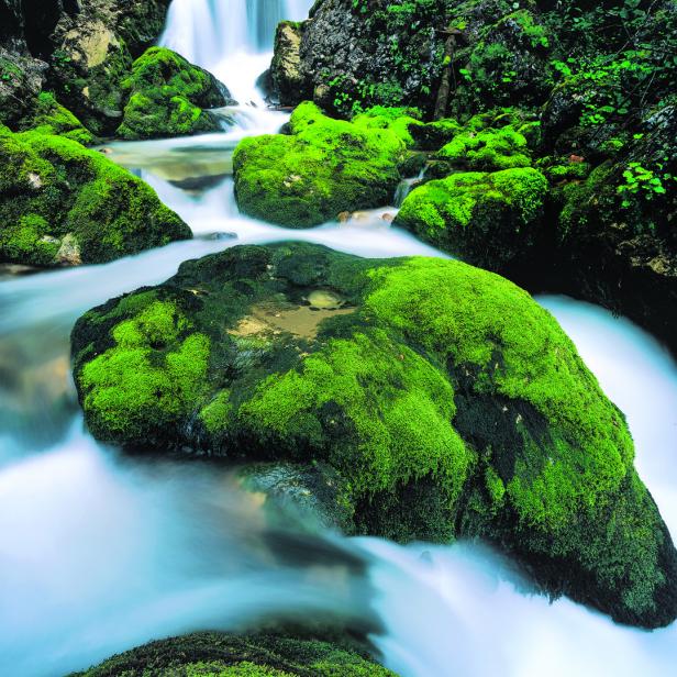 Ein Wasserfall fließt über moosbedeckte Felsen.
