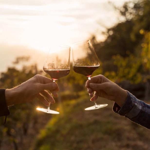 Zwei Personen stoßen mit Rotwein vor einer Weinberglanschaft an.