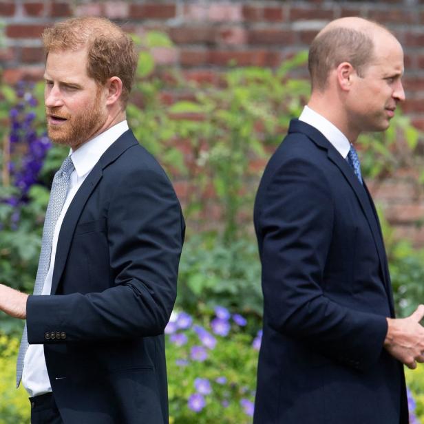 Prinz Harry und Prinz William stehen Rücken an Rücken in einem Garten.