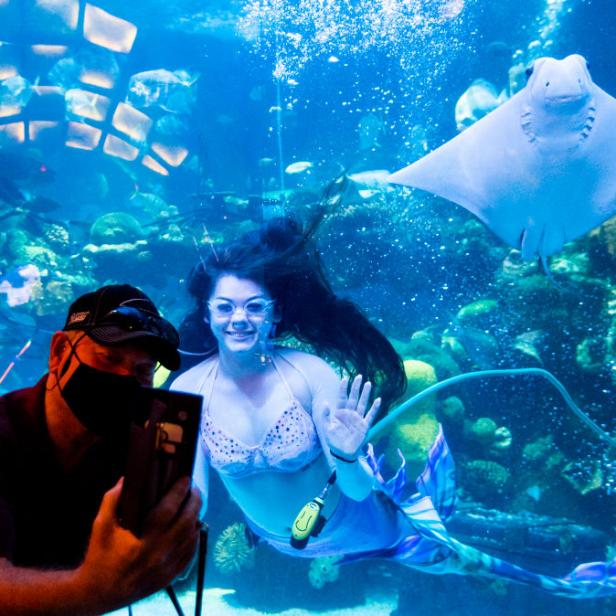 Eine Frau, verkleidet als Meerjungfrau, posiert in einem Aquarium für ein Foto.