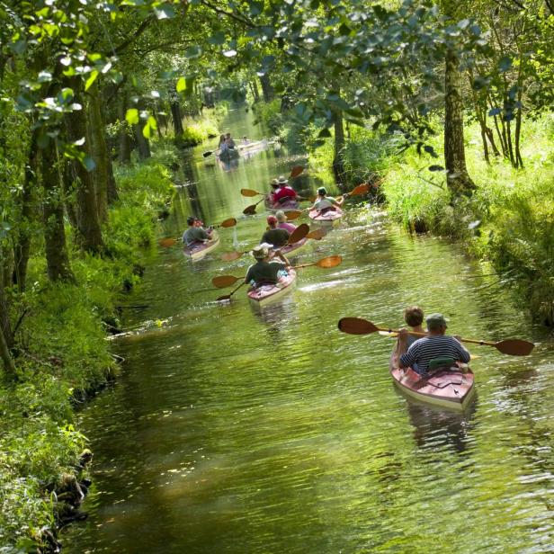 Eine Gruppe von Menschen paddelt in Kanus auf einem schmalen, von Bäumen gesäumten Fluss.