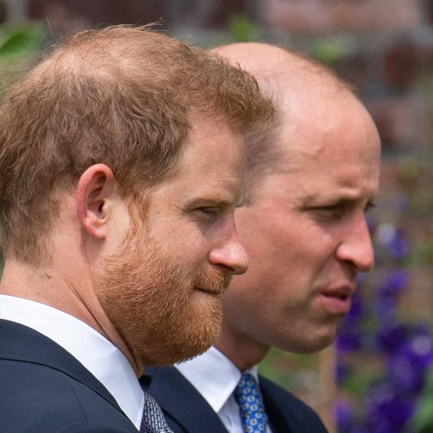 Prinz Harry und Prinz William im Profilansicht.