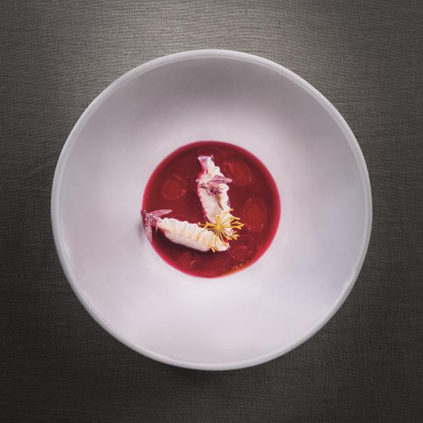 Ein Teller mit roter Suppe und kunstvollen, hellen Einlagen.