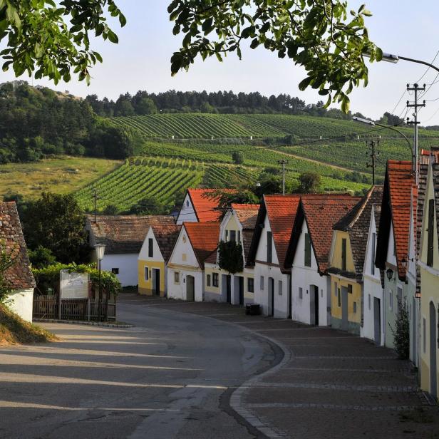 Eine malerische Gasse mit alten Häusern und Weinbergen im Hintergrund.
