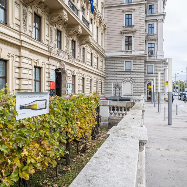 Ein Weinberg mit einem Schild in Wien vor einem Gebäude.