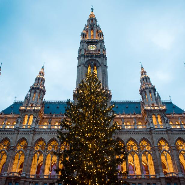 Der Weihnachtsbaum vor dem Wiener Rathaus ist hell erleuchtet.