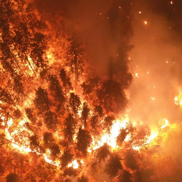 Waldbrand-Inferno auf der Rax: Was die Feuerwehr daraus gelernt hat