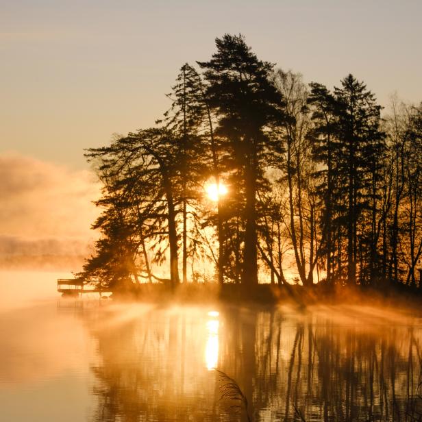 Die Sonne scheint durch die Bäume an einem nebligen See.
