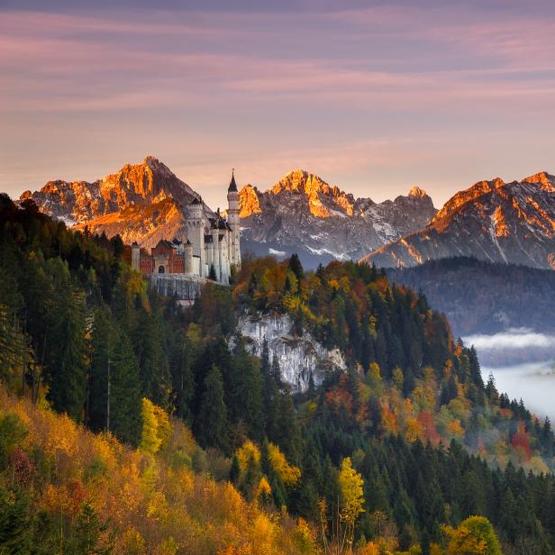 Schloss Neuschwanstein thront auf einem Hügel vor einer Bergkulisse im Herbst.