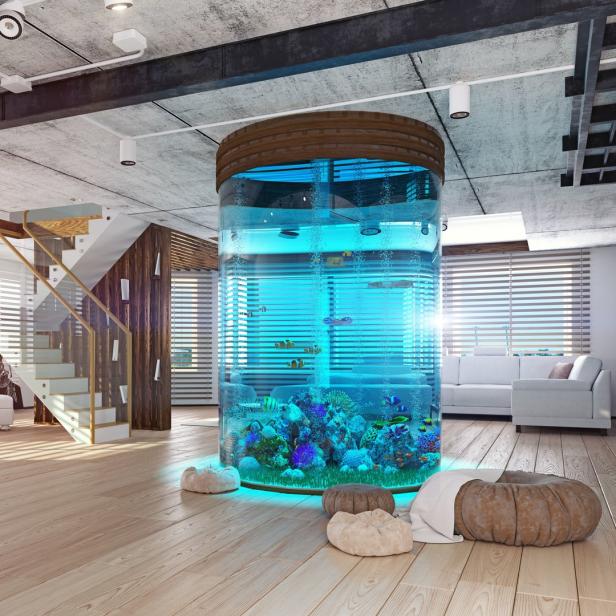 Ein zylindrisches Aquarium mit tropischen Fischen steht in einem modernen Wohnzimmer.