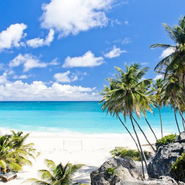 Ein tropischer Strand mit weißem Sand, türkisfarbenem Wasser und Palmen unter blauem Himmel.