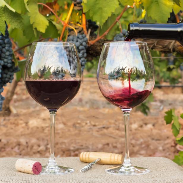 Rotwein wird in einem Weinberg in zwei Gläser eingeschenkt.