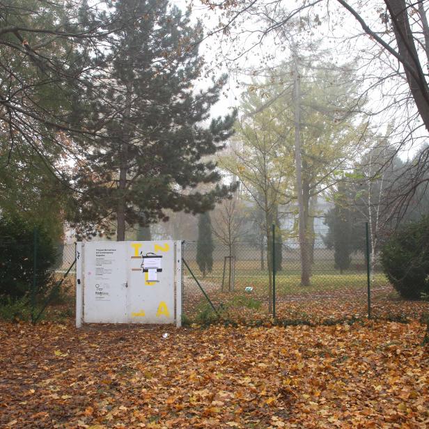 Ein Tor mit Aushängen steht in einem herbstlichen Park mit Laub bedeckt.