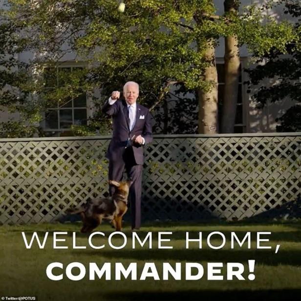 Joe Biden spielt mit seinem Hund Commander auf dem Rasen.