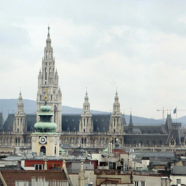 Blick über Wien mit dem Rathaus und anderen historischen Gebäuden.