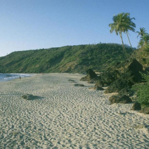 Ein Sandstrand mit Palmen und einem bewaldeten Hügel im Hintergrund.