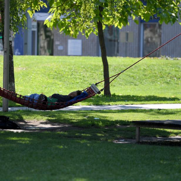 Eine Person ruht sich in einer Hängematte aus, die zwischen zwei Bäumen in einem Park gespannt ist.