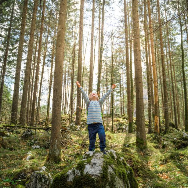 Ein Kind steht mit erhobenen Armen auf einem moosbewachsenen Felsen im Wald.