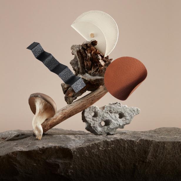 Ein Arrangement aus Pilz, Holz, Stein und Leder auf einer Steinplatte.