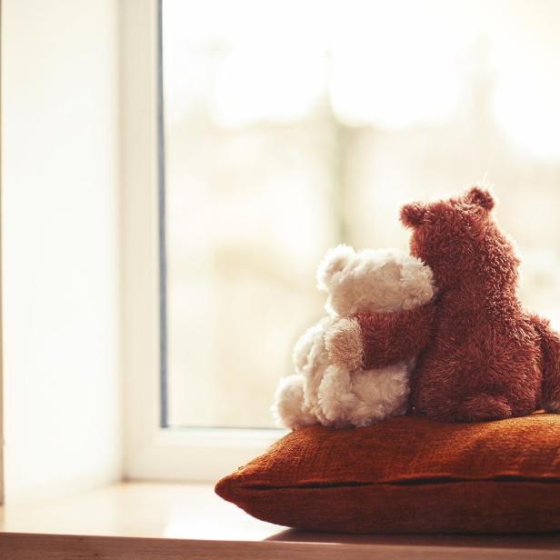 Zwei Teddybären sitzen auf einem Kissen und schauen aus dem Fenster.