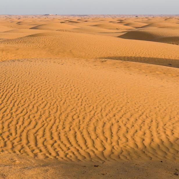 Eine weite Dünenlandschaft mit feinen Sandrippeln im warmen Licht.