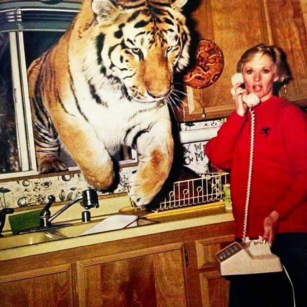 Eine Frau telefoniert, während ein Tiger durch das Küchenfenster springt.