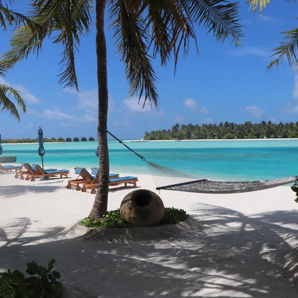 Ein tropischer Strand mit Palmen, Liegestühlen und einer Hängematte am türkisfarbenen Wasser.