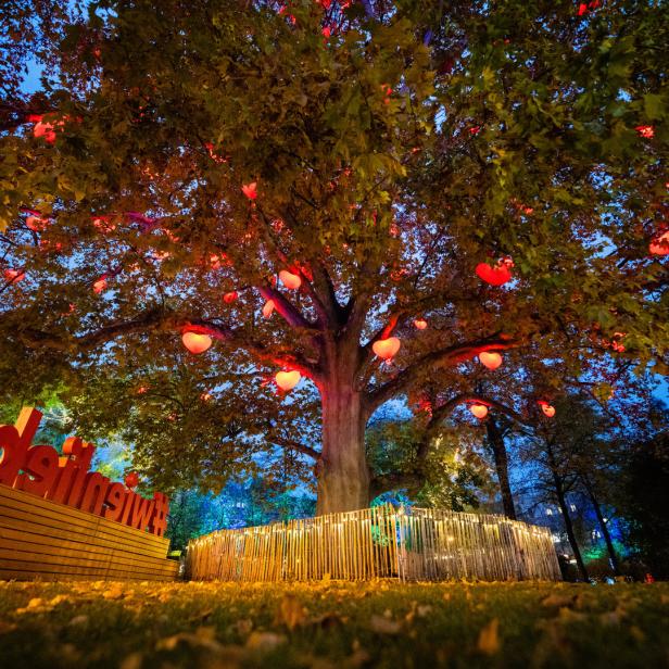 Ein großer Baum ist mit roten, herzförmigen Lichtern geschmückt.