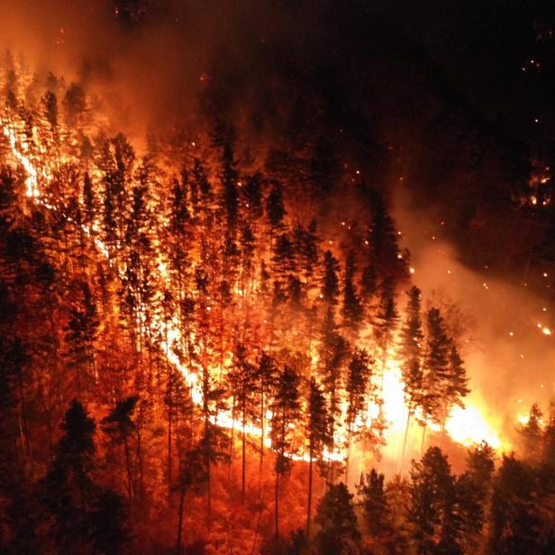 Ein Waldbrand breitet sich in der Nacht über einen bewaldeten Hügel aus.