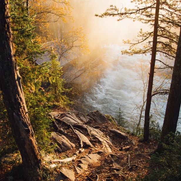 Ein reißender Fluss stürzt durch eine herbstliche Waldlandschaft.
