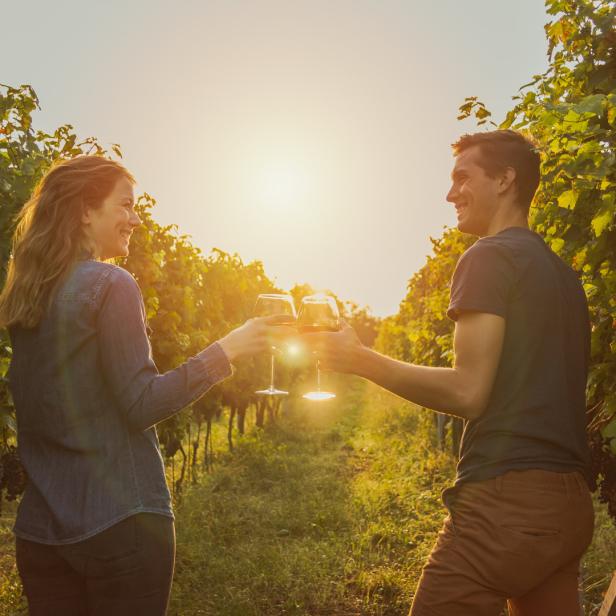 Ein Paar stößt in einem Weinberg mit Rotwein an.