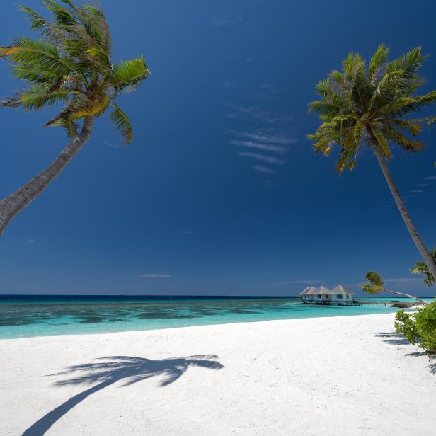 Ein tropischer Strand mit Palmen und einem kleinen Resort im Hintergrund.