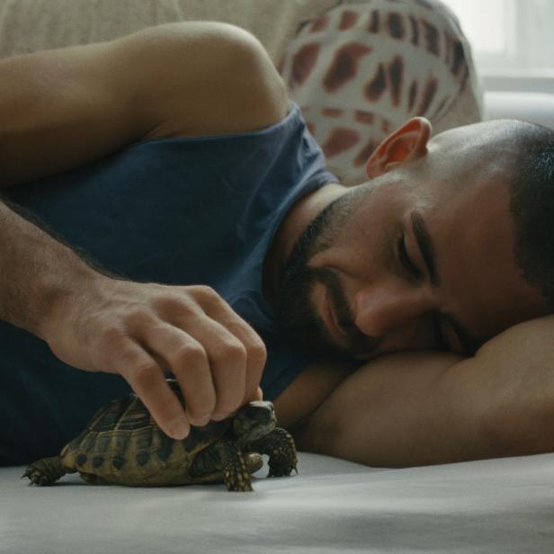Ein Mann liegt auf einem Sofa und streichelt eine Schildkröte.