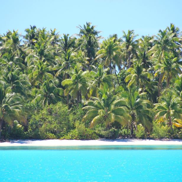 Ein tropischer Strand mit Palmen und türkisfarbenem Wasser.